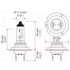 Par Lâmpada Caminhões Farol Biodo H7 24v 70w Hella